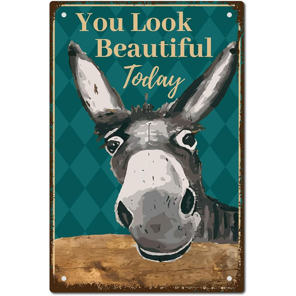 Men Accessories Look - Donkey Vintage Tin Signs You Look