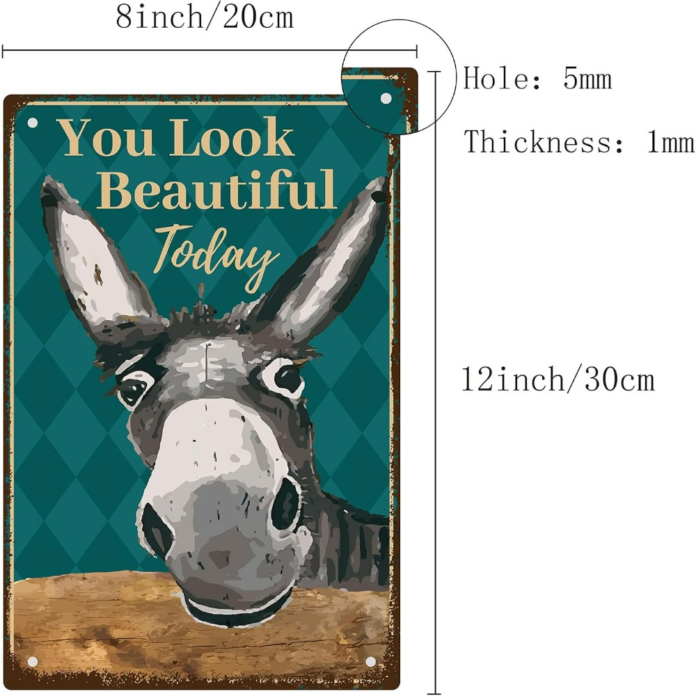 Donkey Vintage Tin Signs You L - Men Accessories Look review and price